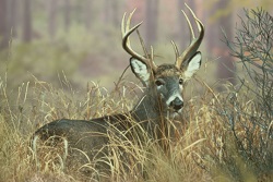 Saskatchewan Tourism