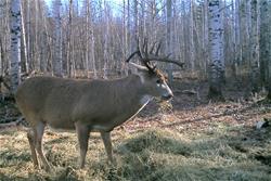 Saskatchewan Tourism