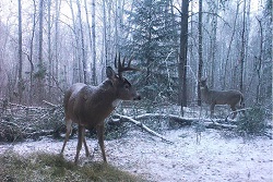 Saskatchewan Tourism