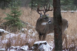 Saskatchewan Tourism