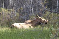 Saskatchewan Tourism