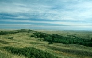 Gull Lake area attractions - Cypress Hills