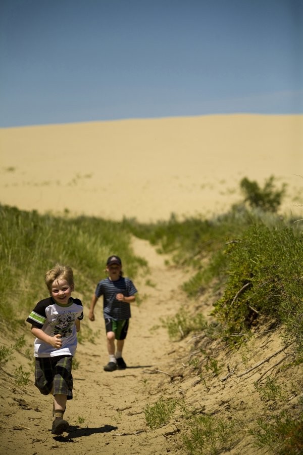 The Great Sand Hills