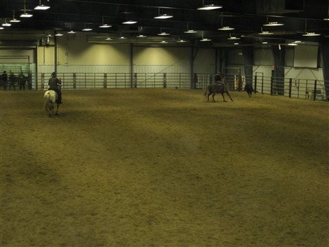 Saskatoon Prairieland Park Corp - Ag Centre