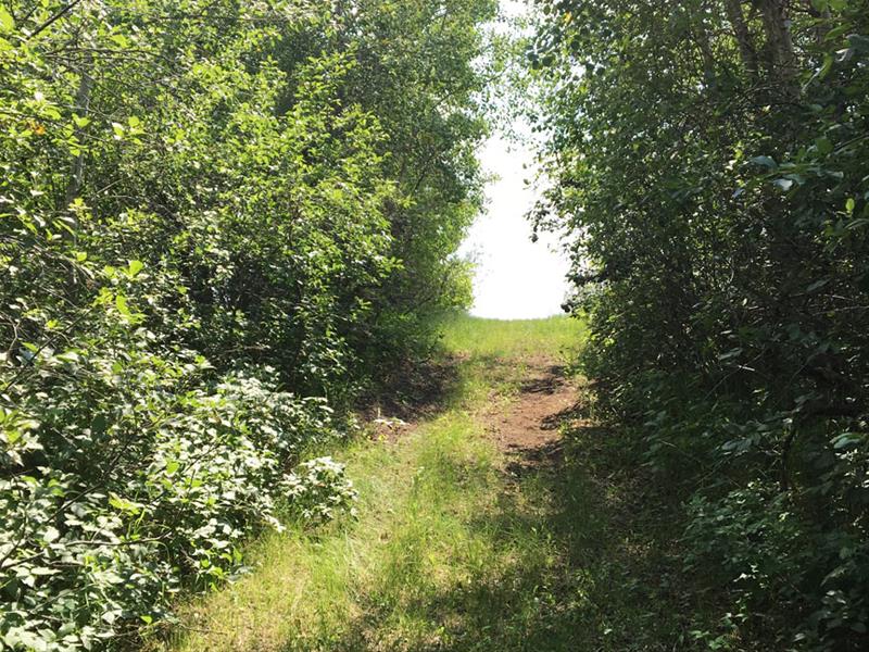 Atton's Lake Regional Park - Hiking Trail