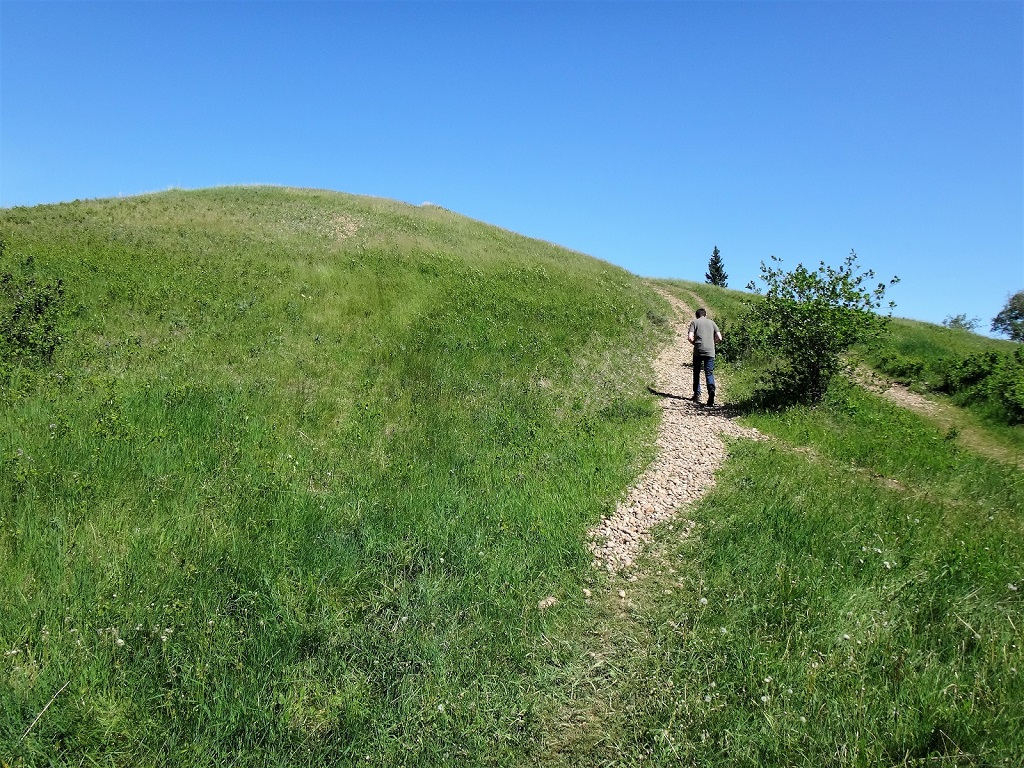 Bald Butte