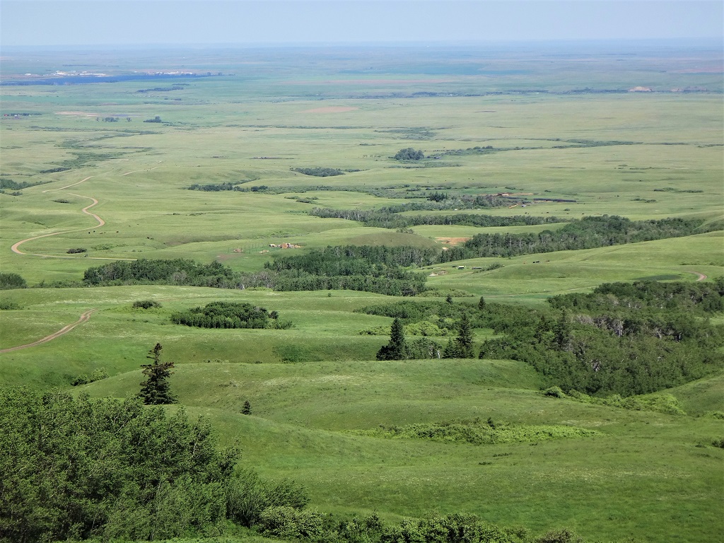 Bald Butte