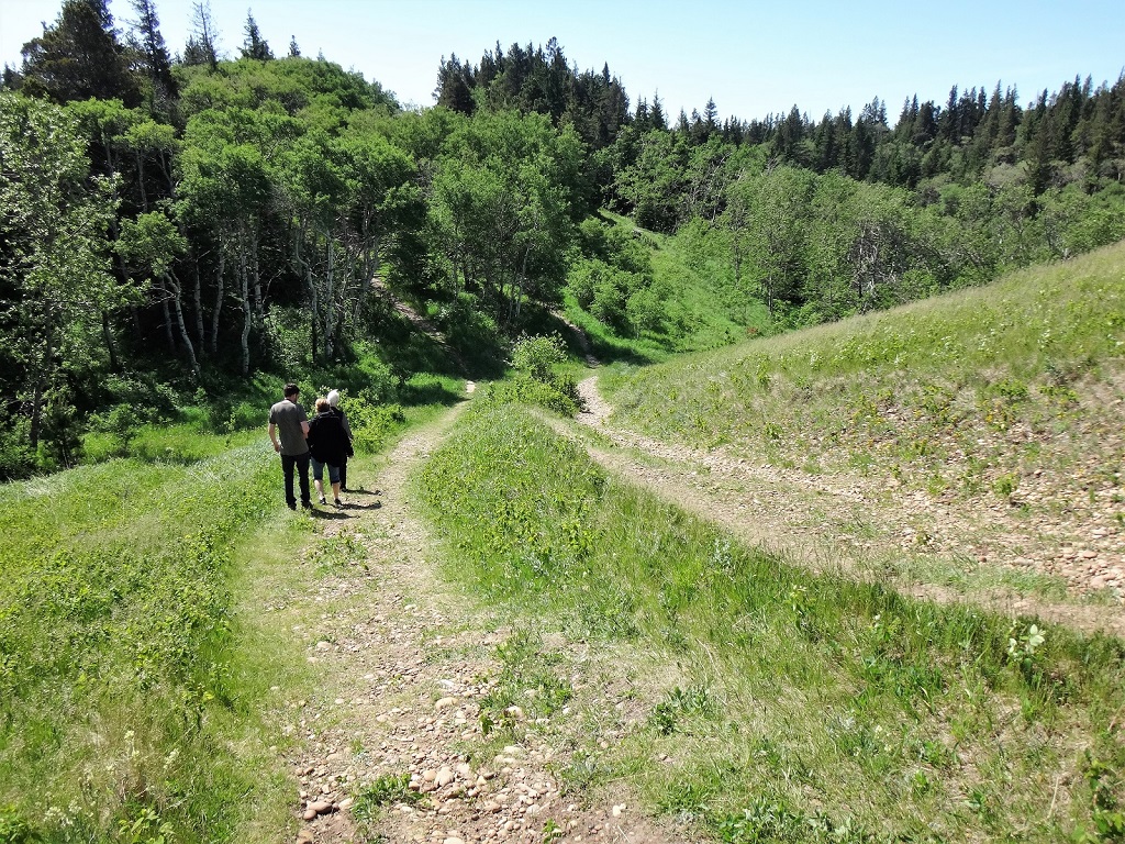 Bald Butte