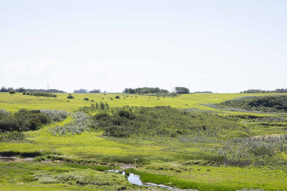 Battle of Tourond's Coulee | Fish Creek National Historic Site; Photo: Parks Canada