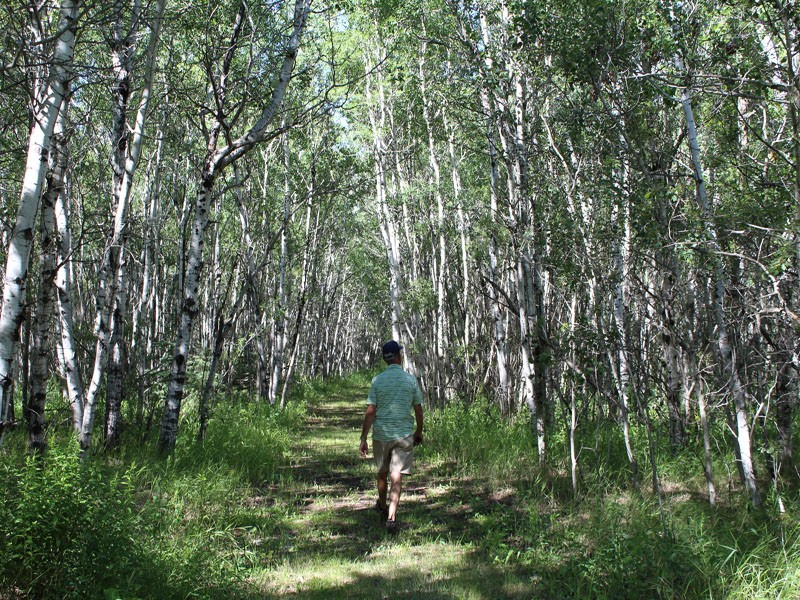 Battlefords Provincial Park 