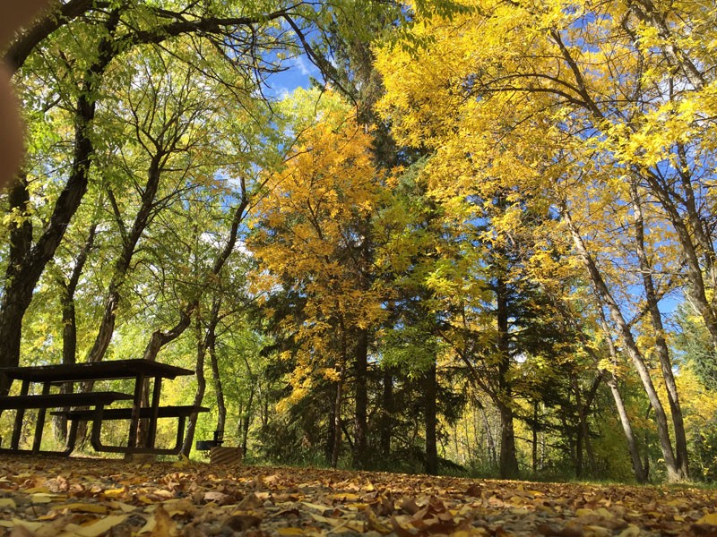 Battlefords Provincial Park 