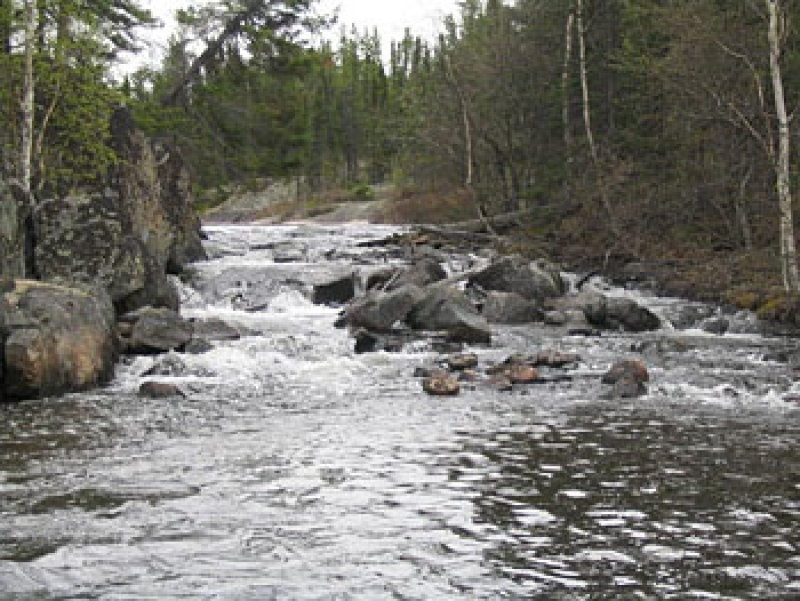 Beaver Lodge Fly-Inn Co Ltd