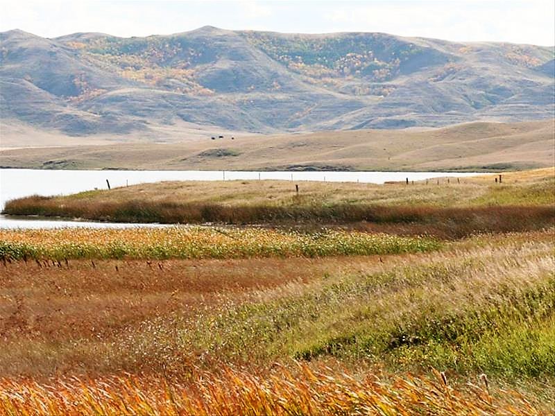 Bengough & District Regional Park