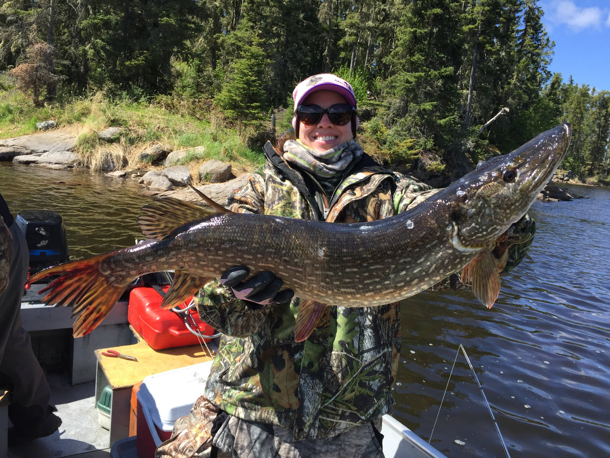 Black Bear Island Lodge