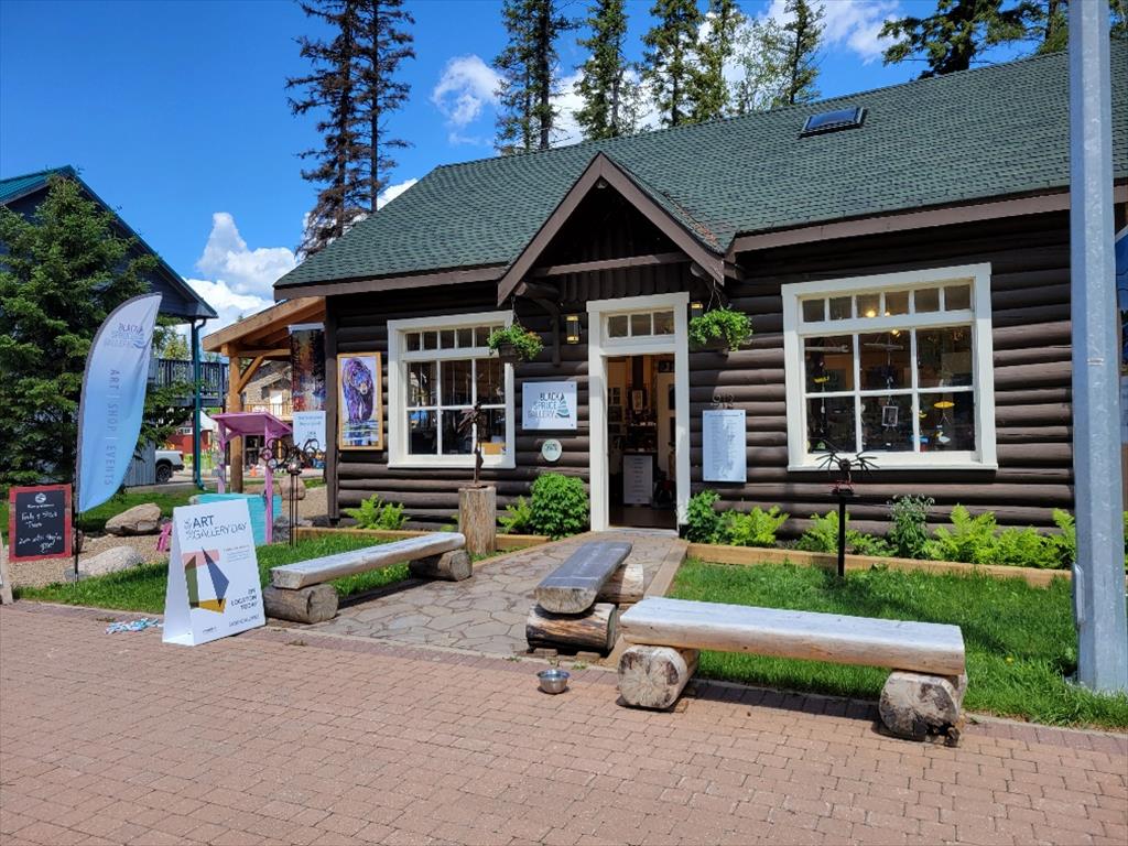 Black Spruce Gallery