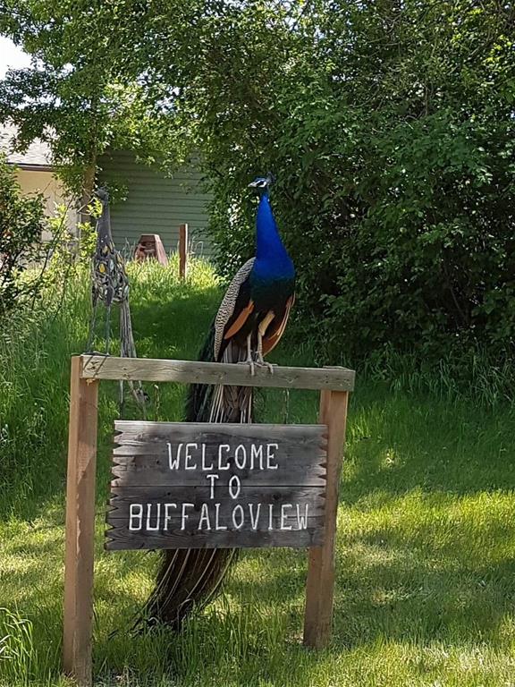 Buffalo View Campground