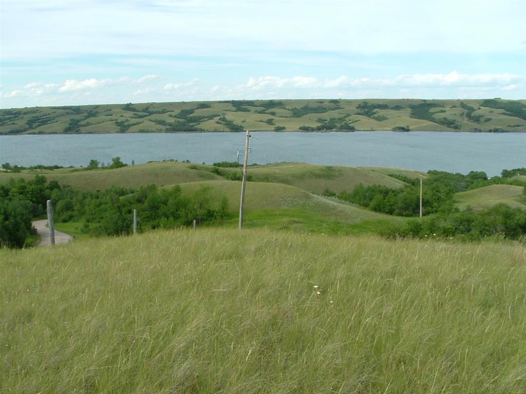 Buffalo View Campground