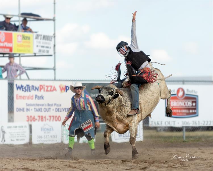 Pilot Butte Rodeo; Photo: Brian Easton