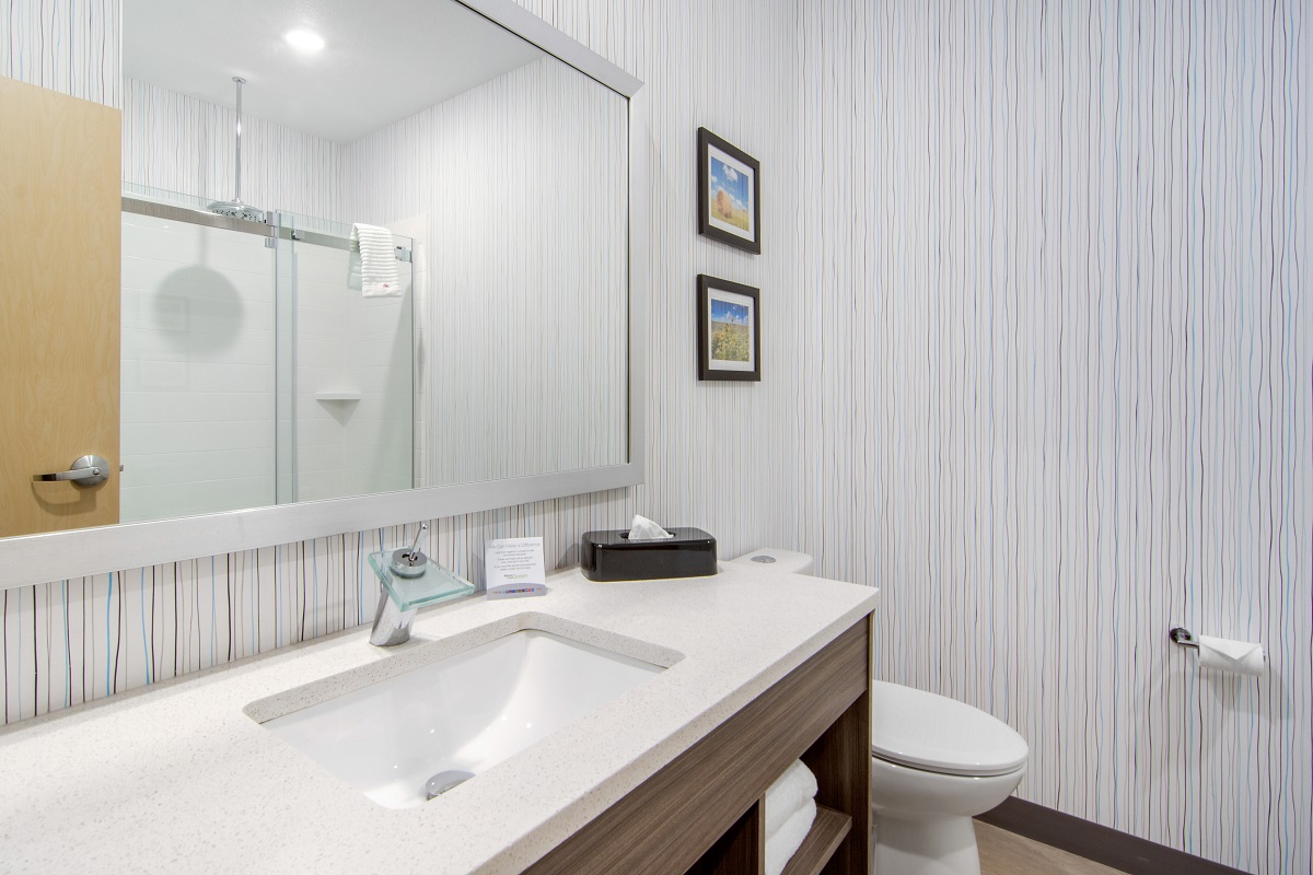 Comfort Inn and Suites North Battleford - Guest Room Bathroom