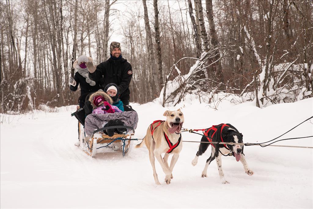 Campbell's Racing Sled Dog Tours