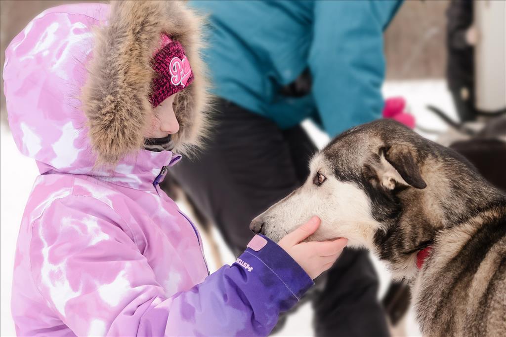 Campbell's Racing Sled Dog Tours