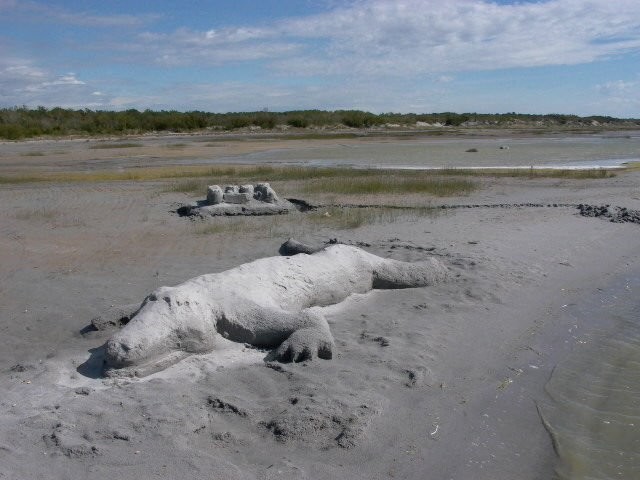 Canora Beach Resort - Alligator sand sculpture