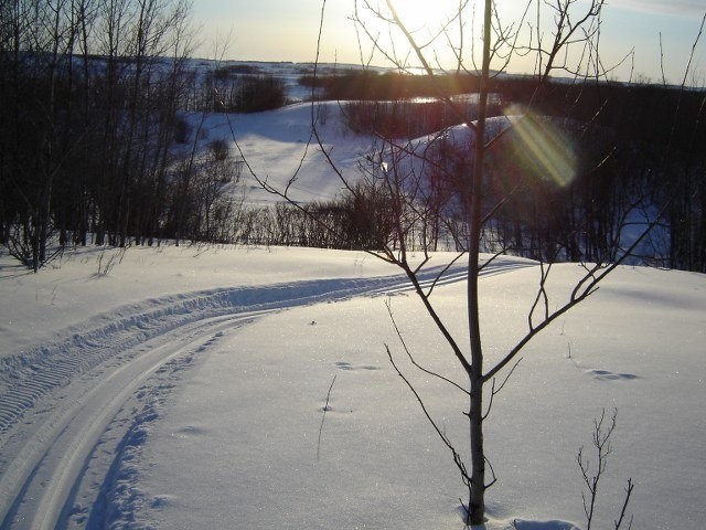 Carlton Trail Ski Club - Trail View