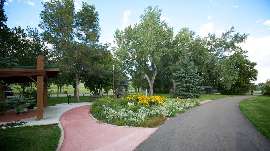 Chinook Parkway - Riverdene Park