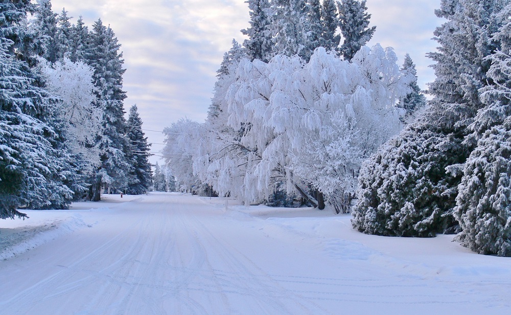 Choiceland - Winter scene