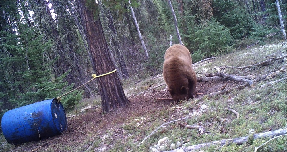 Churchill Lake Outfitting