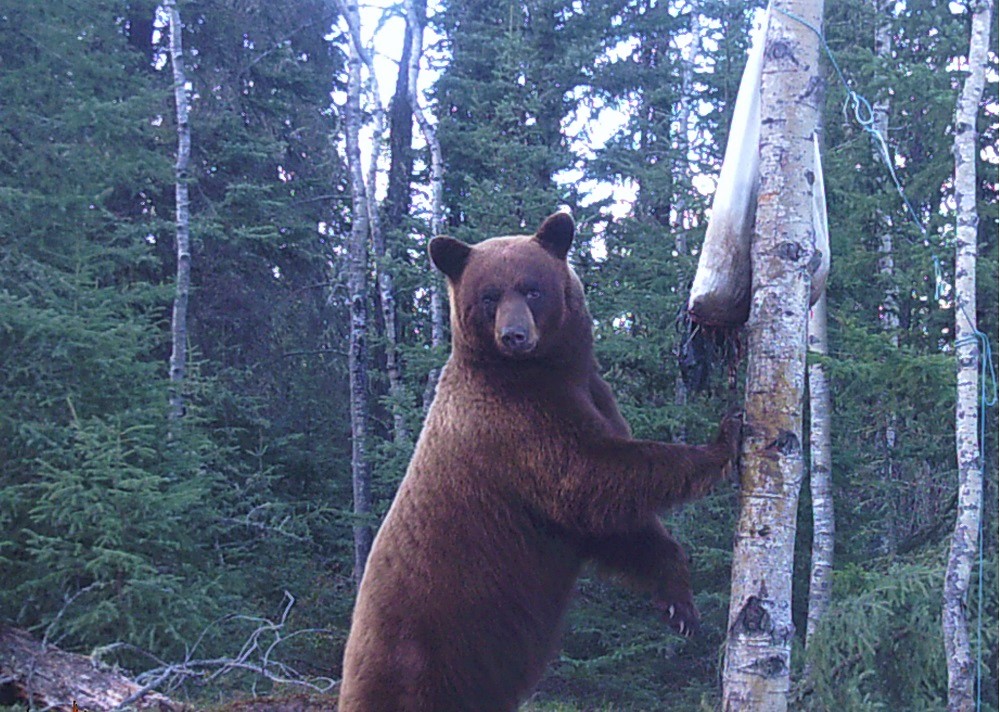 Churchill Lake Outfitting