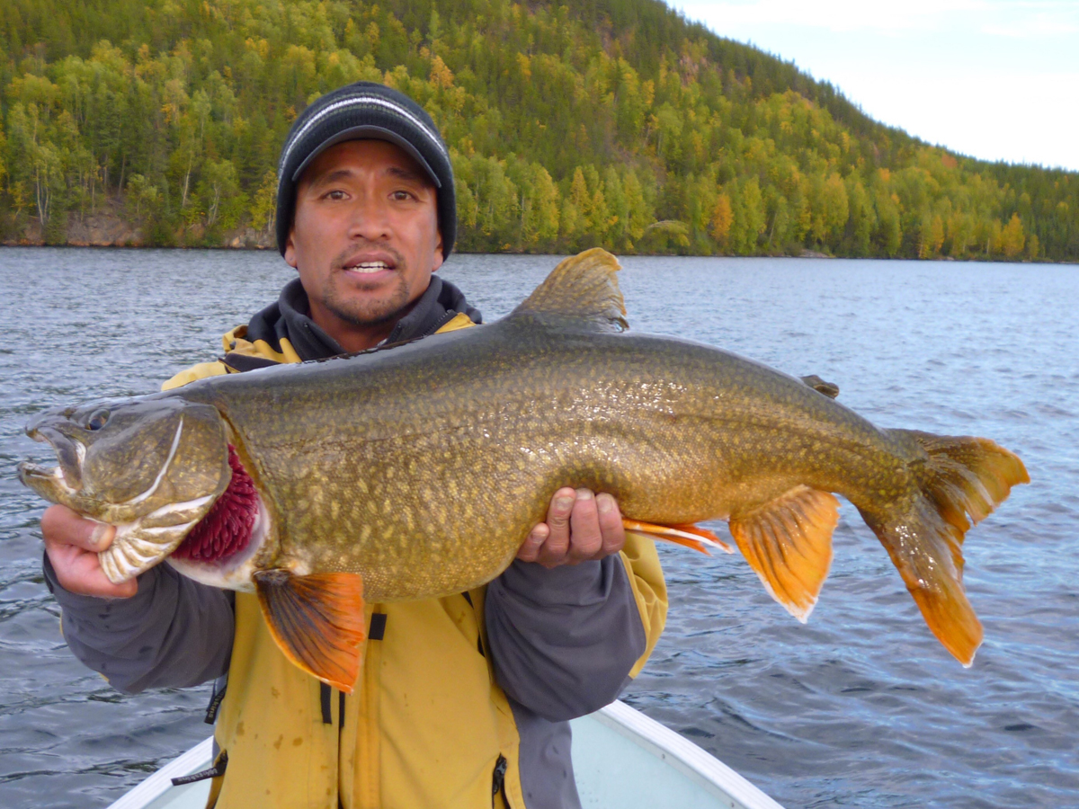 Complex Lake Lodge