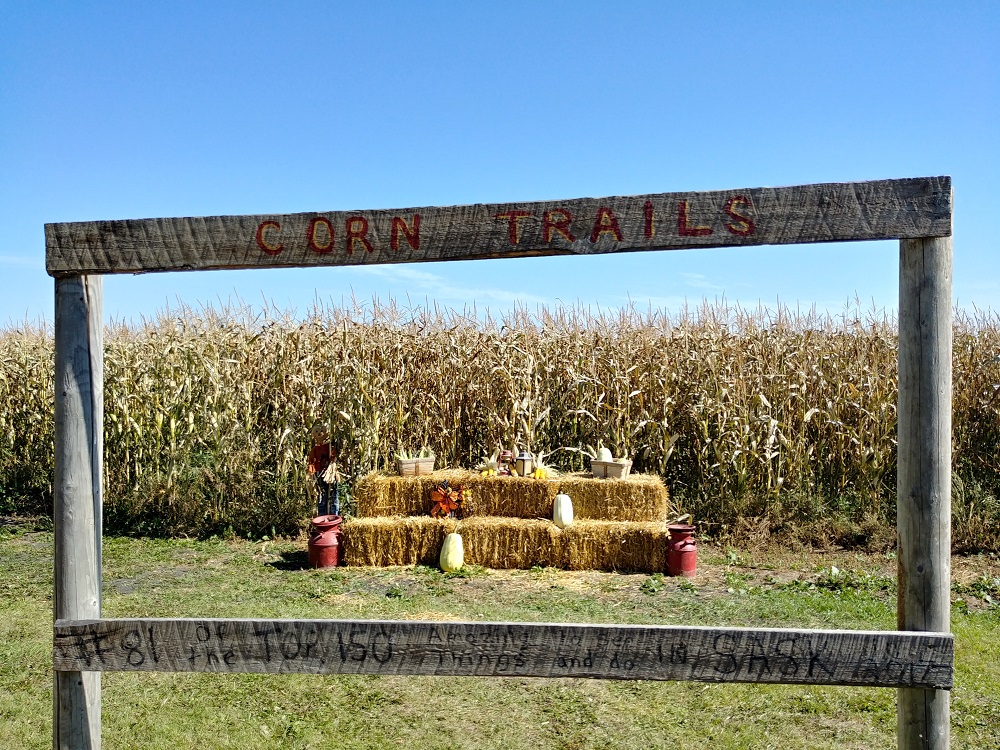 Corn Trails! 