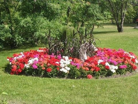 Qu'Appelle - Creekside Gardens 