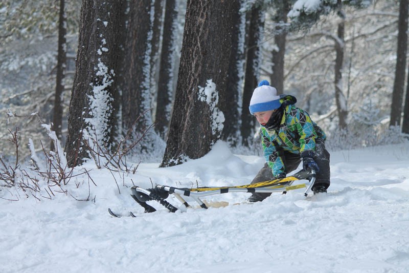 Cypress Hills Interprovincial Park 