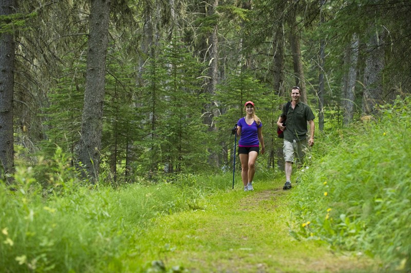 Cypress Hills Interprovincial Park 