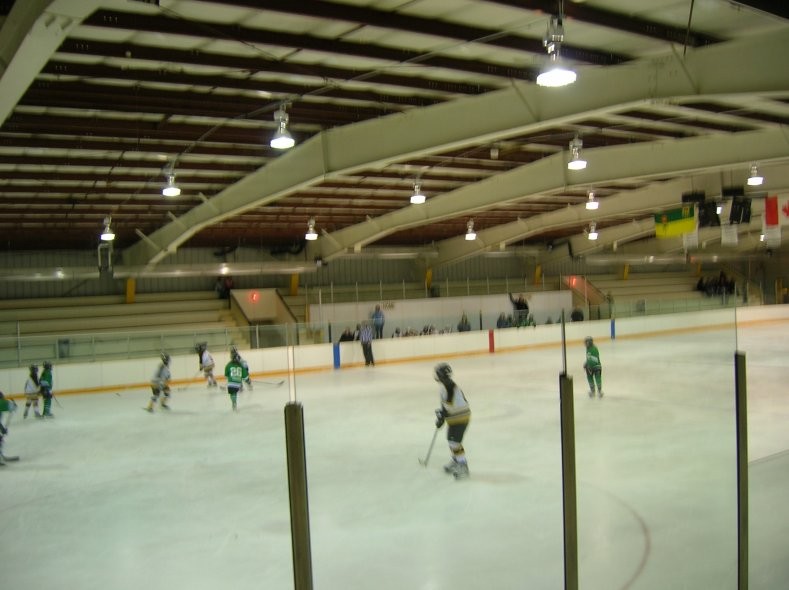 Delisle - Rink