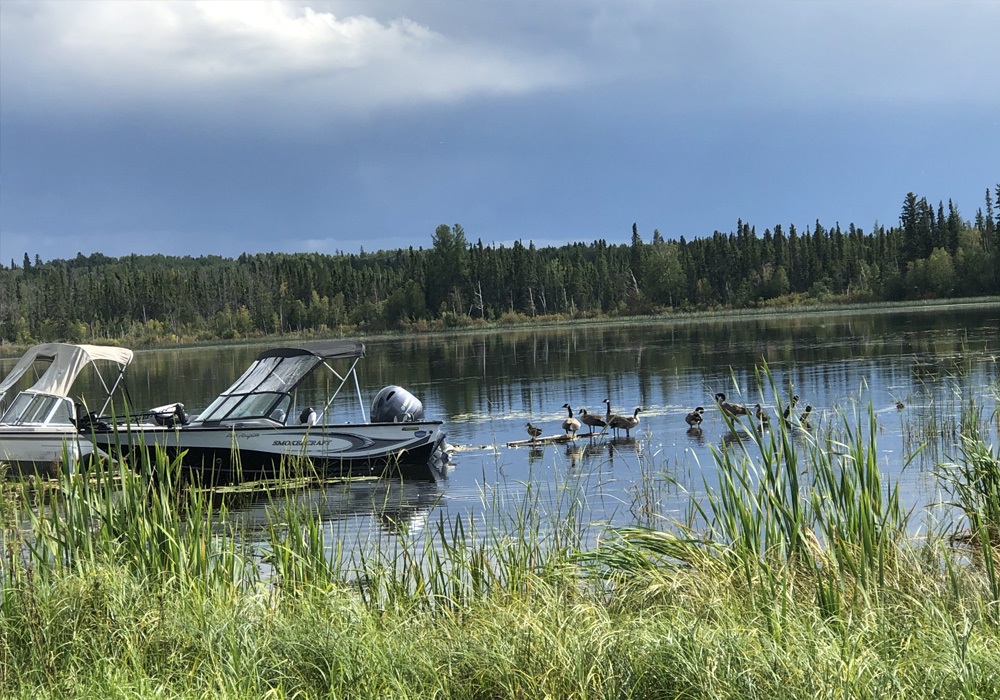 Dore Lake Fish'n Camp RV Park