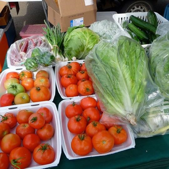 Estevan Farmers' Market