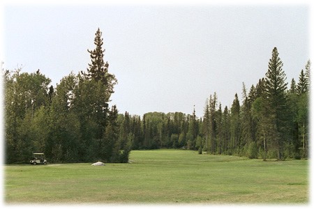 Eagle Point Resort for Family & Friends - Golf Course