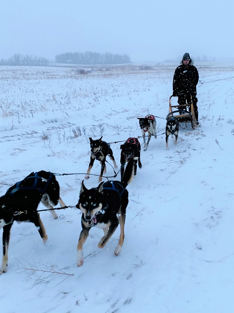 Eagle Ridge Dog Sled Tours Ltd.