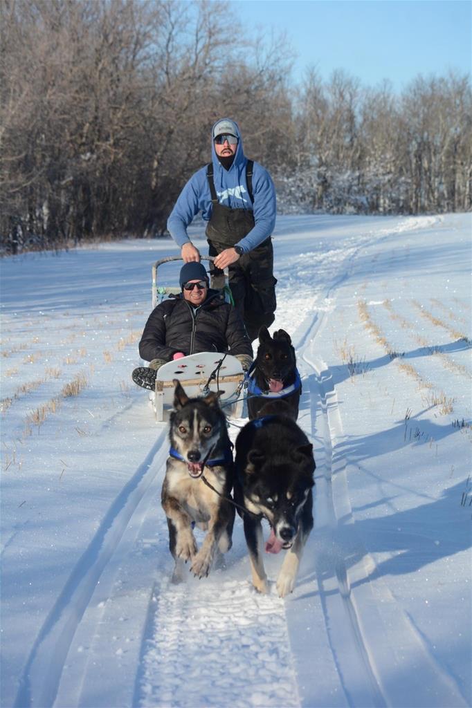 eagle ridge dog sled tours