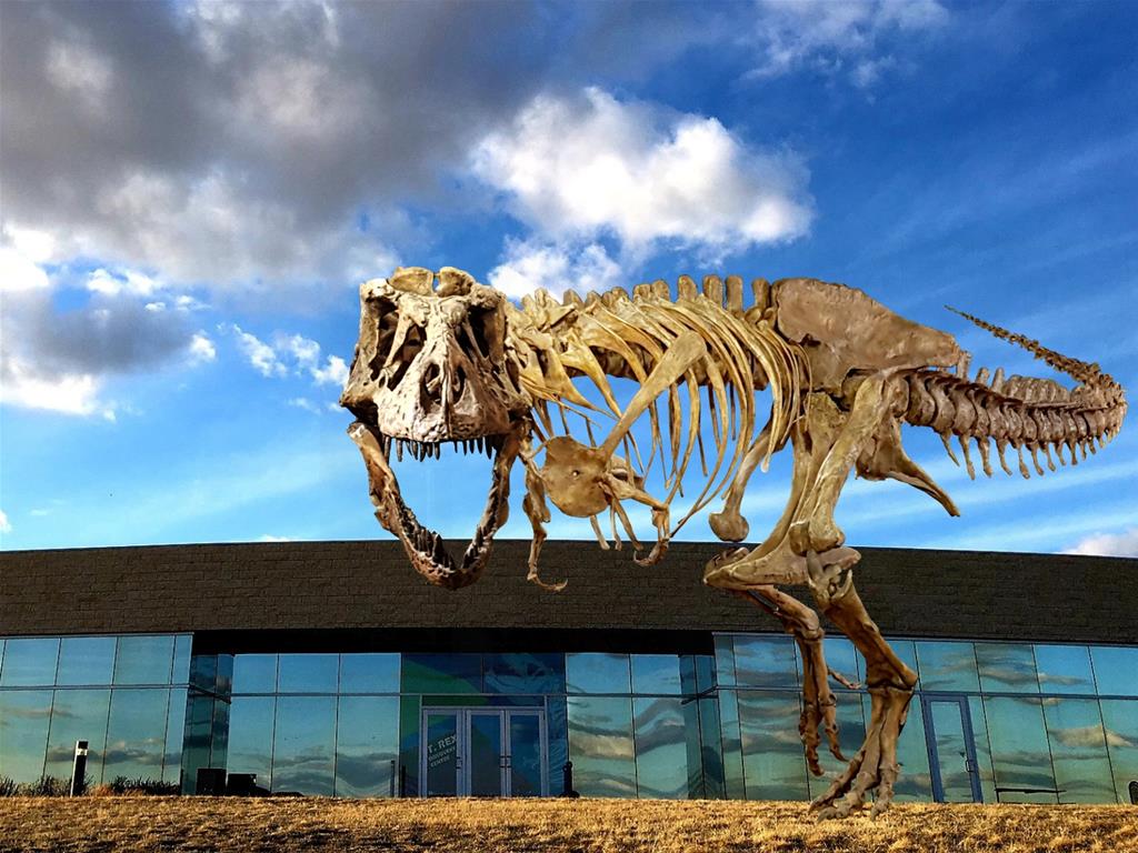 Eastend - Scotty & T.rex Discovery Centre