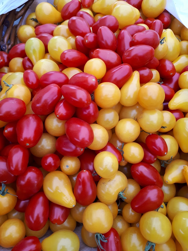 Fort Qu'Appelle and District Farmers' Market