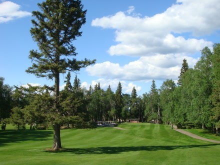 Famous Lobstick - 
Looking back towards the first tee from the fairway, just past the lobstick.
