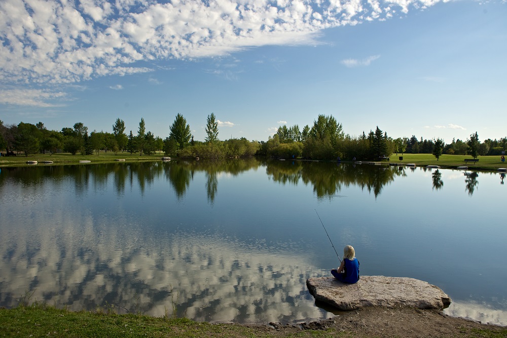 Saskatoon Forestry Farm Park & Zoo