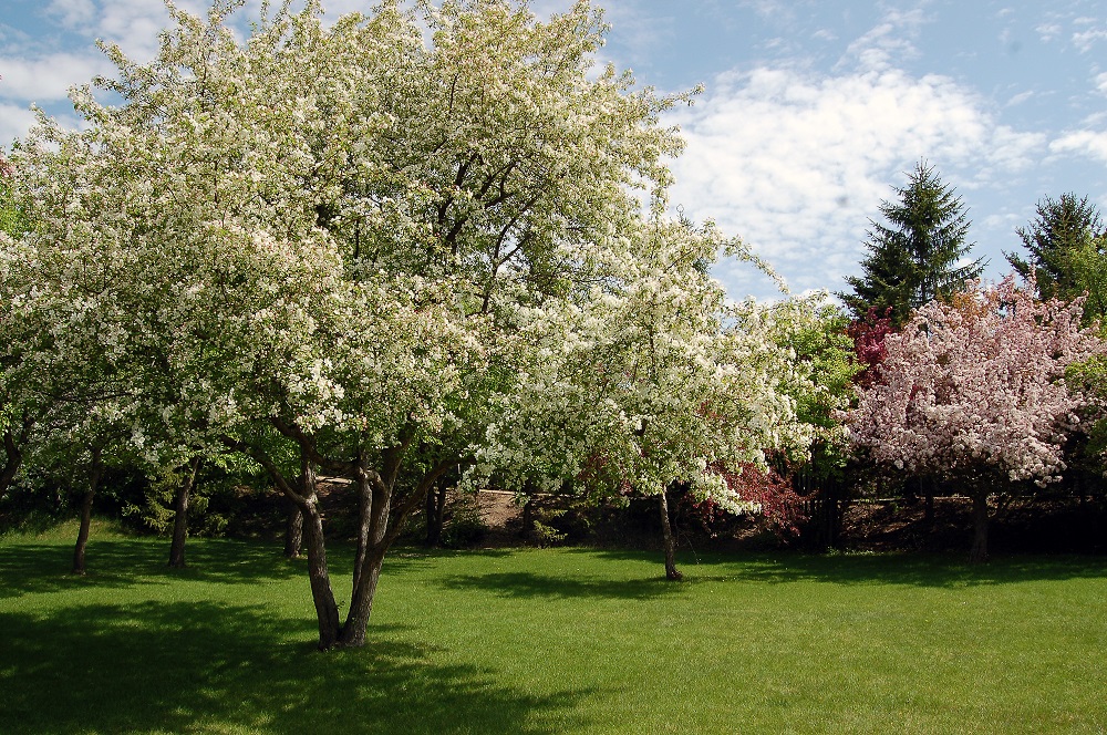 Saskatoon Forestry Farm Park & Zoo