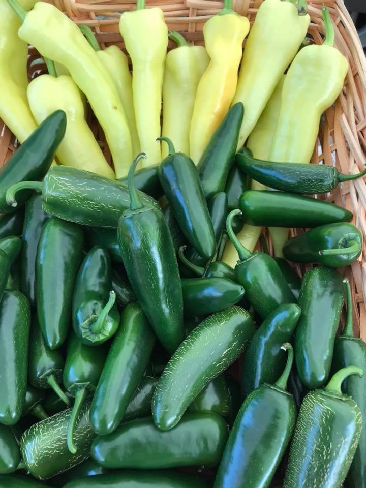 Fort Qu'Appelle and District Farmers' Market