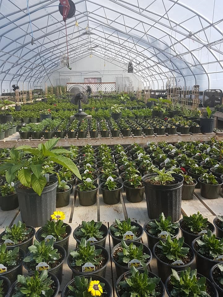 Garden of Dreams Greenhouses