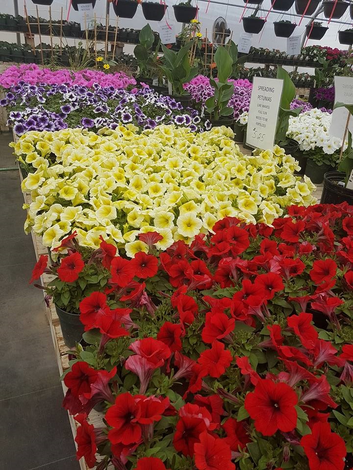 Garden of Dreams Greenhouses